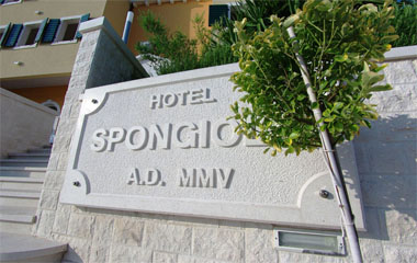 Отель Spongiola 4*