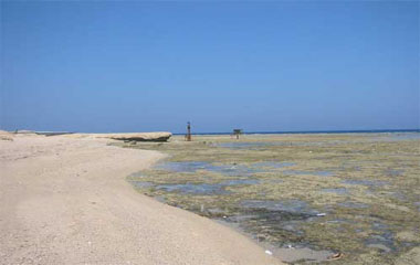 Пляж отеля Crowne Plaza Oasis Port Ghalib 5*