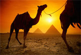 Египет отменяет визовый сбор для российских туристов с 1 июня по 31 августа 2012г.