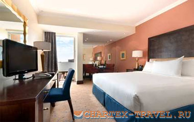 Номер отеля Hilton Abu Dhabi Hotel 5*
