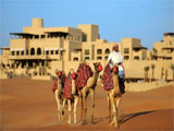 Отель Qasr Al Sarab Desert Resort by Anantara 5*