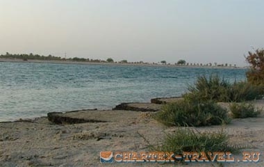 Пляж отеля Tulip Inn Al Rahba 3*