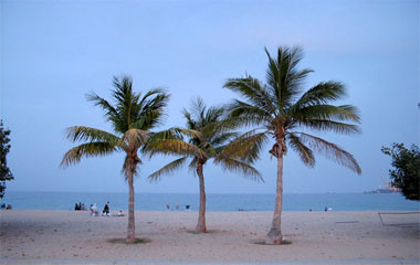 Пляж отеля Al Seef Beach 3*